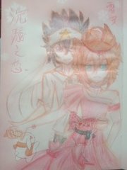 红杏四叶草
